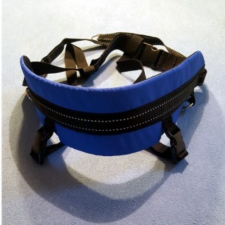 Ceinture de CaniCross & CaniMarche NORTHERN HOWL