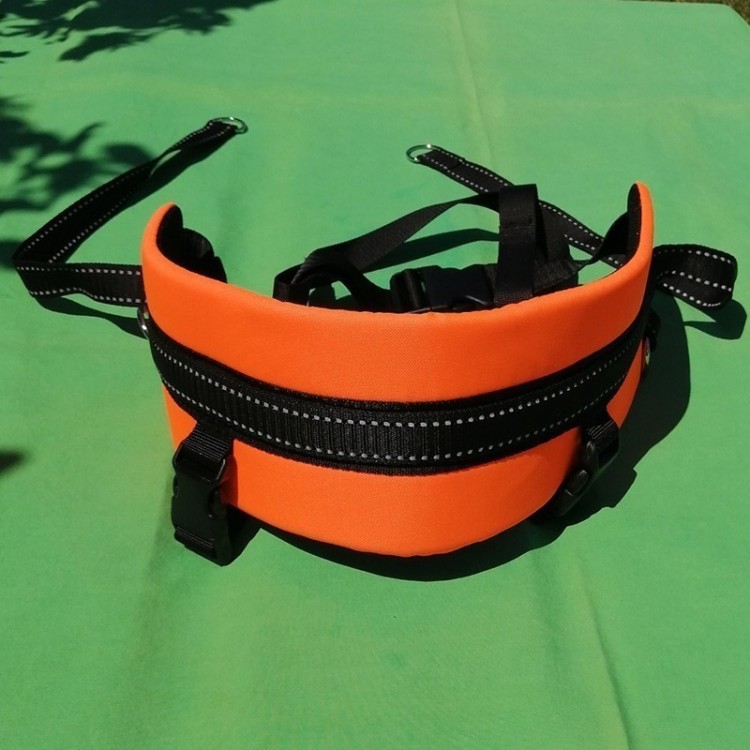 Ceinture de CaniCross & CaniMarche NORTHERN HOWL