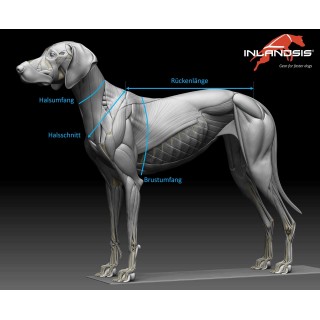 Zuggeschirr X-Back Polar Evo INLANDSIS