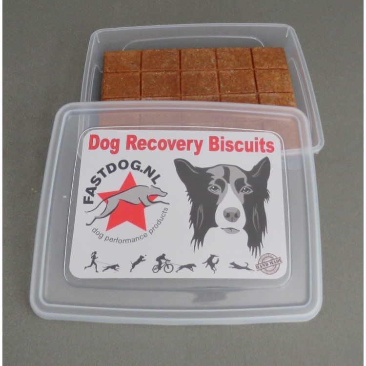 Biscuit Storage Box FASTDOG