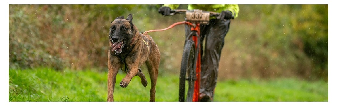 Equipement de CaniTrottinette | Basicdog.ch - Spécialiste Canicross