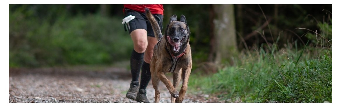 Laisses de Canicross | Basicdog.ch - spécialiste matériel canicross